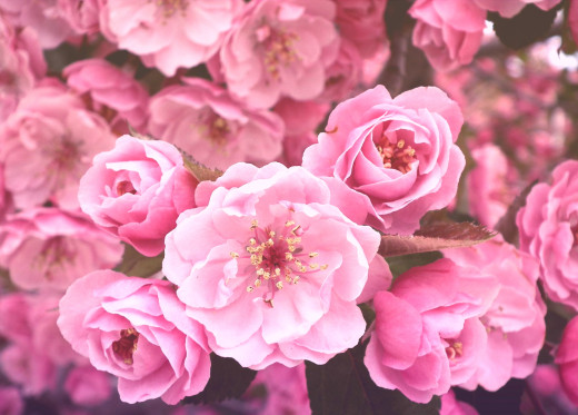 626321 (a): :2683x1920